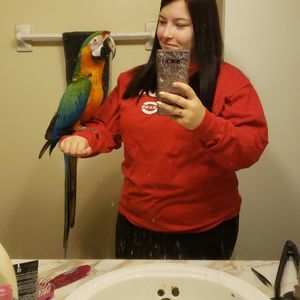 Meet your Posher, Elaina